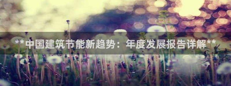 e尊平台：**中国建筑节能新趋势：年度发展报告详解**