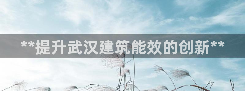 e尊平台：**提升武汉建筑能效的创新**