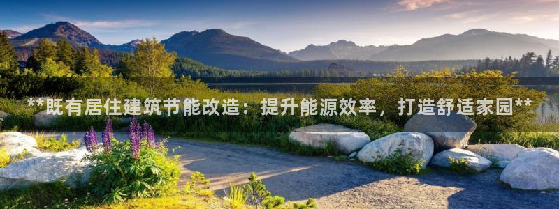 e尊国际可靠吗：**既有居住建筑节能改造：提升能源效率，打造舒适家园**