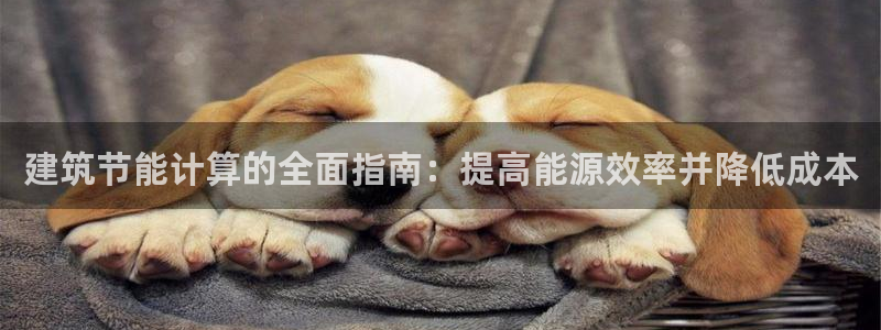 e尊国际7779：建筑节能计算的全面指南：提高能源效率并降低成本