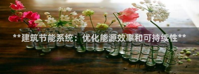 e尊国际官网·网址：**建筑节能系统：优化能源效率和可持续性**
