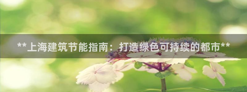 e尊国际官网app：**上海建筑节能指南：打造绿色可持续的都市**