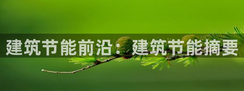 e尊国际app：建筑节能前沿：建筑节能摘要