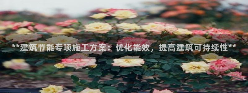 e尊国际是干什么的：**建筑节能专项施工方案：优化能效，提高建筑可持续性**
