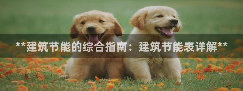 e尊国际-可可计划：**建筑节能的综合指南：建筑节能表详解**