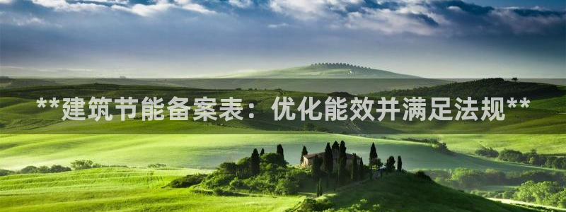 e尊官网：**建筑节能备案表：优化能效并满足法规**