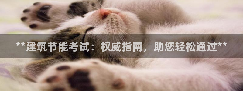 E尊国际网站：**建筑节能考试：权威指南，助您轻松通过**