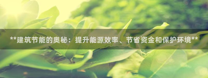 e尊电竞：**建筑节能的奥秘：提升能源效率、节省资金和保护环境**