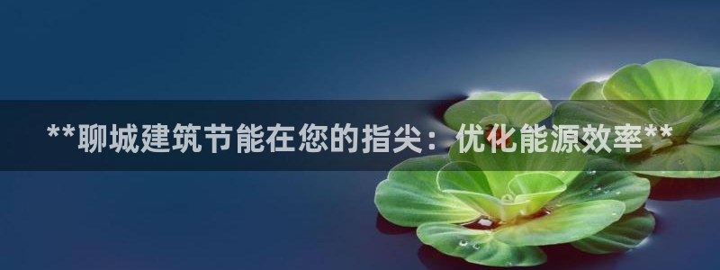 e尊国际娱乐官网下载：**聊城建筑节能在您的指尖：优化能源效率**