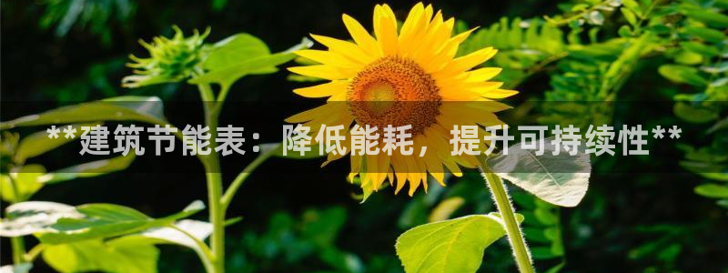 e尊国际官网·网址：**建筑节能表：降低能耗，提升可持续性**