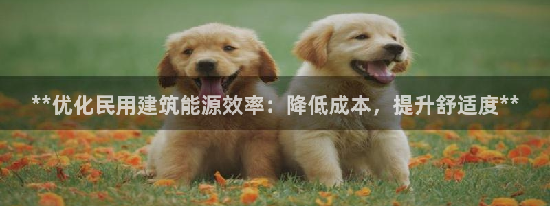 e尊国际可靠吗：**优化民用建筑能源效率：降低成本，提升舒适度**