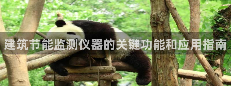 尊亿游戏国际官网：建筑节能监测仪器的关键功能和应用指南