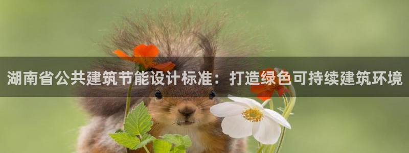 e尊平台：湖南省公共建筑节能设计标准：打造绿色可持续建筑环境