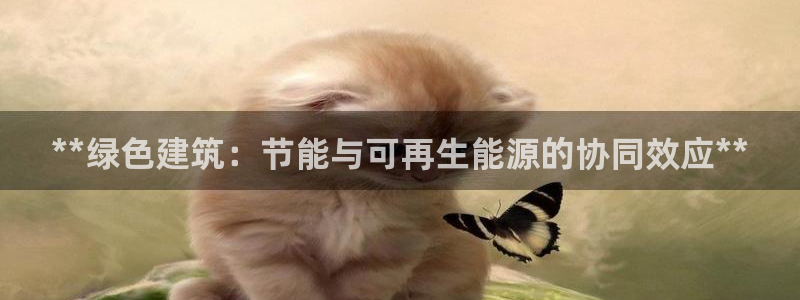 e尊官网：**绿色建筑：节能与可再生能源的协同效应**
