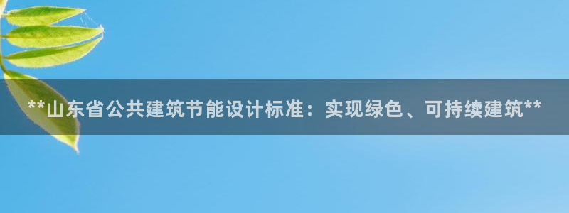 e尊官网：**山东省公共建筑节能设计标准：实现绿色、可持续建筑**
