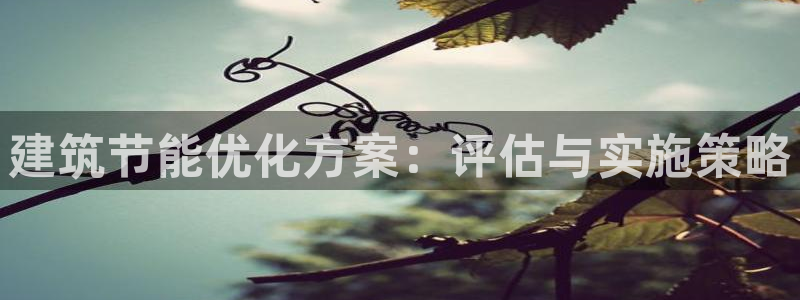 e尊平台：建筑节能优化方案：评估与实施策略