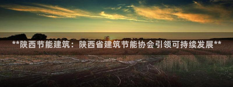e尊国际娱乐官网地址：**陕西节能建筑：陕西省建筑节能协会引领可持续发展**