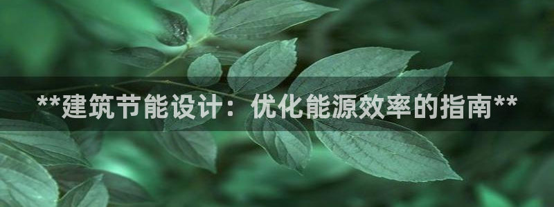 e尊国际官网·网址：**建筑节能设计：优化能源效率的指南**