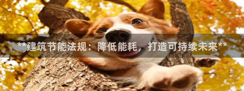 e尊国际娱乐官网下载：**建筑节能法规：降低能耗，打造可持续未来**