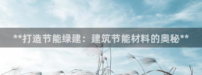 e尊国际客户端：**打造节能绿建：建筑节能材料的奥秘**