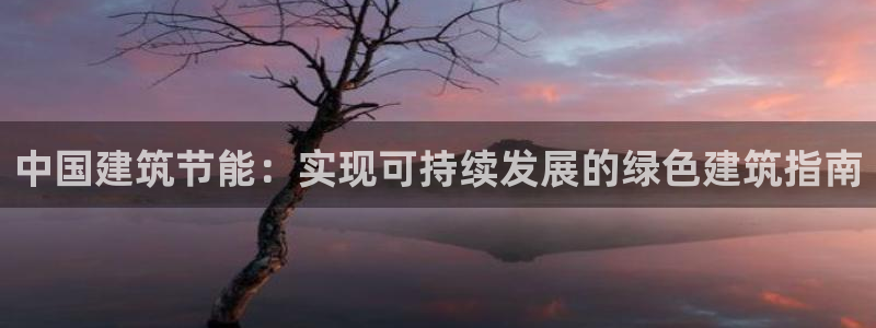 e尊官网：中国建筑节能：实现可持续发展的绿色建筑指南