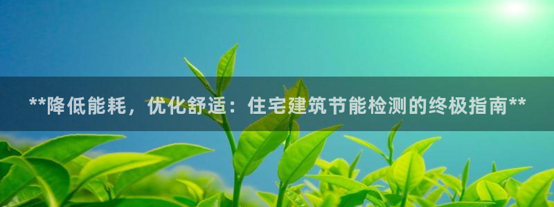 e尊国际官方网站：**降低能耗，优化舒适：住宅建筑节能检测的终极指南**