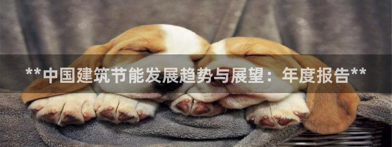 e尊国际的手机登录网站：**中国建筑节能发展趋势与展望：年度报告**