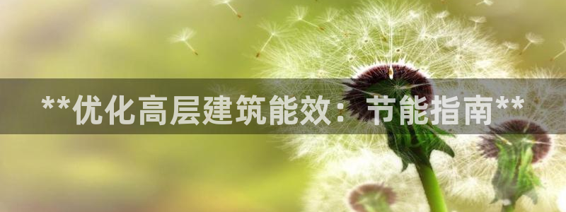 e尊国际娱乐官网地址：**优化高层建筑能效：节能指南**
