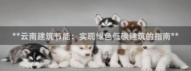 e尊国际-可可计划：**云南建筑节能：实现绿色低碳建筑的指南**