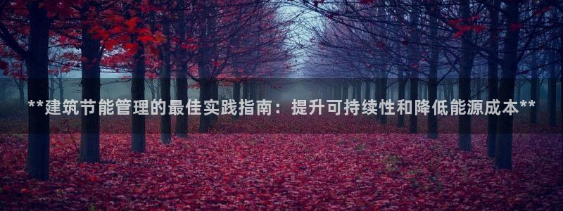E尊国际：**建筑节能管理的最佳实践指南：提升可持续性和降低能源成本**