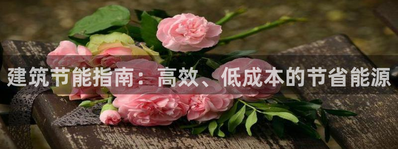 e尊国际7779：建筑节能指南：高效、低成本的节省能源
