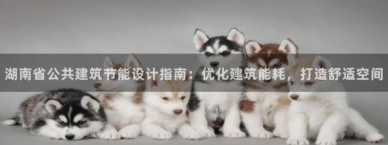 e尊国际平台：湖南省公共建筑节能设计指南：优化建筑能耗，打造舒适空间