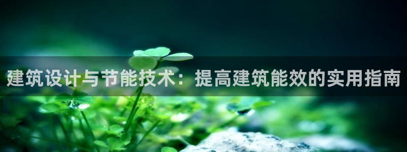 E尊国际网站：建筑设计与节能技术：提高建筑能效的实用指南