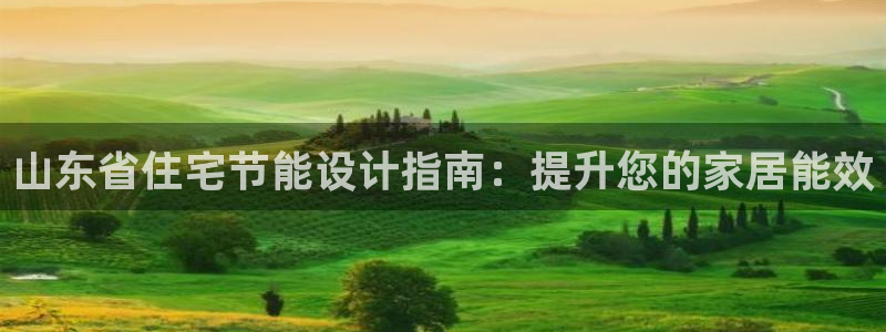 e尊国际客户端：山东省住宅节能设计指南：提升您的家居能效
