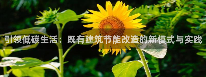 e尊国际官网·网址：引领低碳生活：既有建筑节能改造的新模式与实践