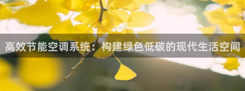 e尊国际平台