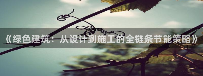 E尊国际