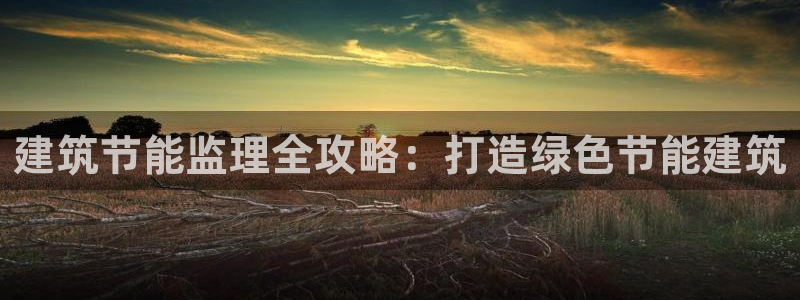 e尊国际客户端：建筑节能监理全攻略：打造绿色节能建筑