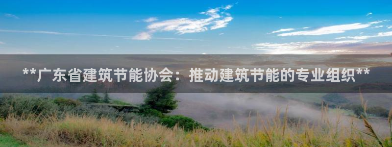 e尊国际官网app：**广东省建筑节能协会：推动建筑节能的专业组织**