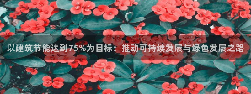 e尊国际客户端下载