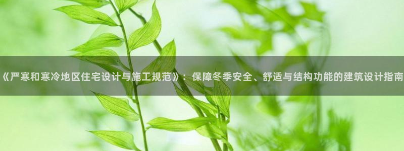 e尊国际娱乐官网下载：《严寒和寒冷地区住宅设计与施工规范》：保障冬季安全、舒适与结构功能的建筑设计指南