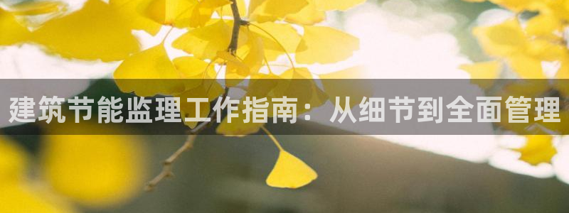 e尊官网：建筑节能监理工作指南：从细节到全面管理