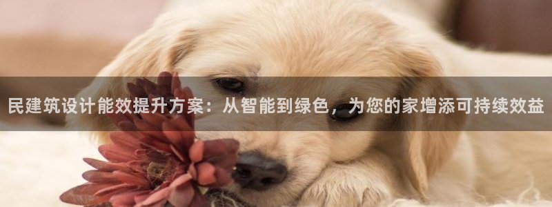 e尊国际地址：民建筑设计能效提升方案：从智能到绿色，为您的家增添可持续效益