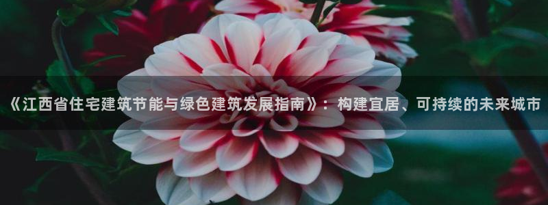尊亿娱乐国际官网：《江西省住宅建筑节能与绿色建筑发展指南》：构建宜居、可持续的未来城市