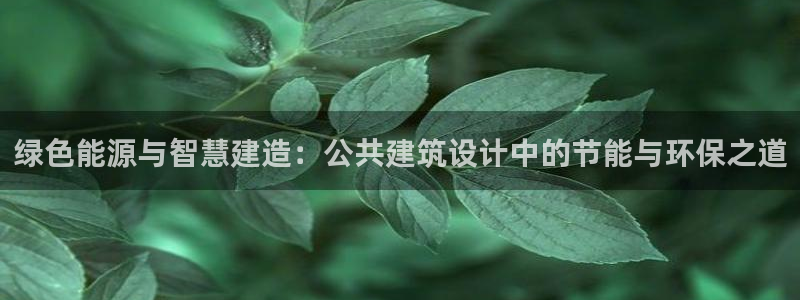 e尊国际是干什么的：绿色能源与智慧建造：公共建筑设计中的节能与环保之道