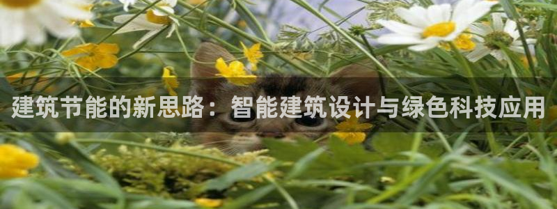 e尊国际的手机登录网站：建筑节能的新思路：智能建筑设计与绿色科技应用