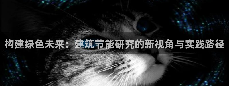 e尊国际客户端：构建绿色未来：建筑节能研究的新视角与实践路径