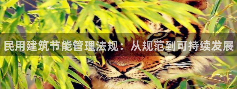 e尊平台：民用建筑节能管理法规：从规范到可持续发展