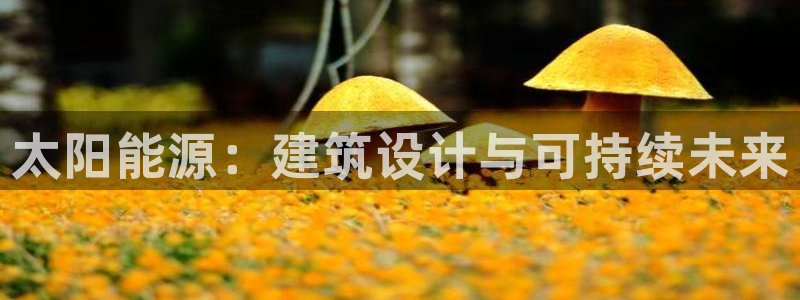 谁知道e尊国际的网址：太阳能源：建筑设计与可持续未来