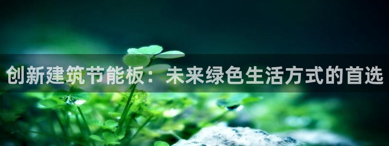 e尊国际是个黑网：创新建筑节能板：未来绿色生活方式的首选